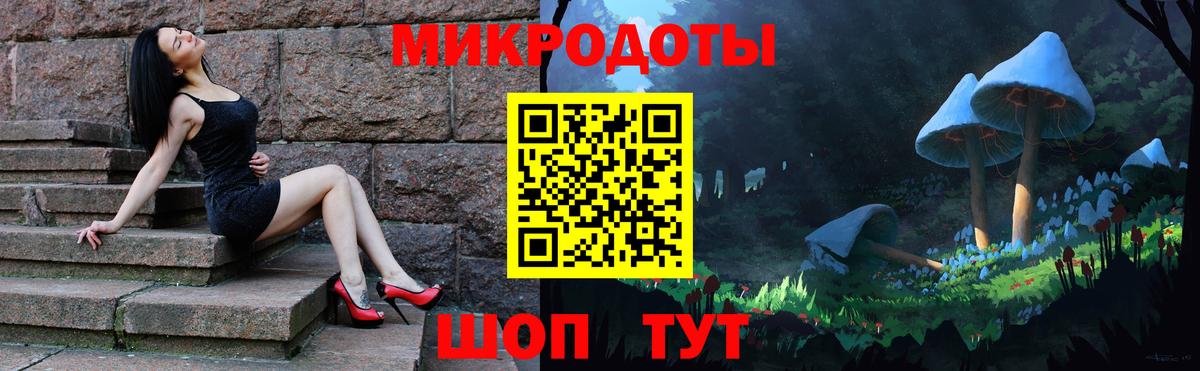 Ревда  Псилоцибиновые грибы GOLDEN TEACHER  цена наркотик  Вход с VPN 