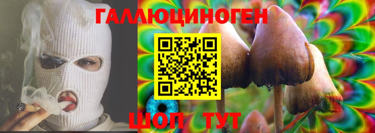 Псилоцибиновые грибы Psilocybe Ревда
